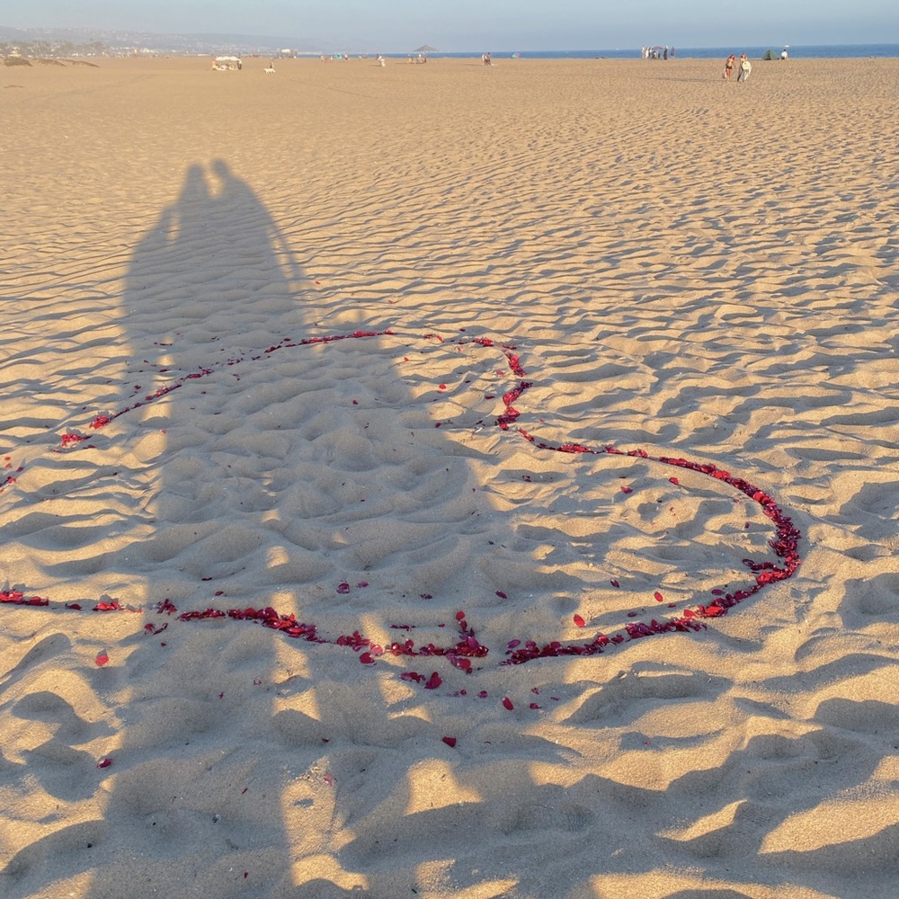 Meet your Posher, Vera